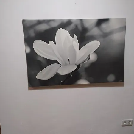Lägenhet In Niedraula *